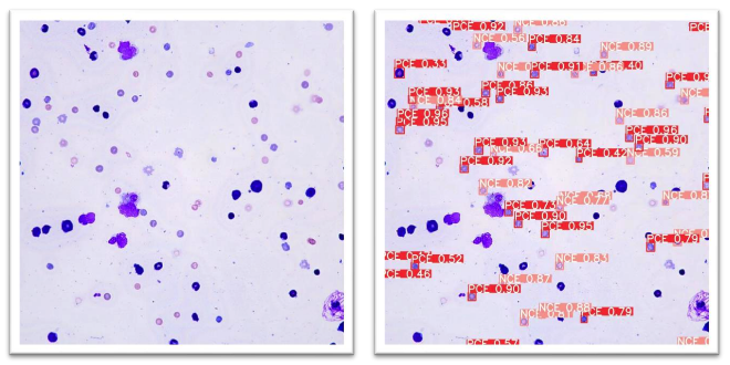 某制药企业药物筛选案例
